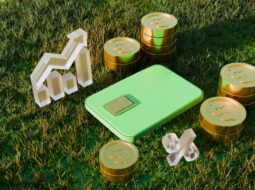 Guided Wealth Strategies