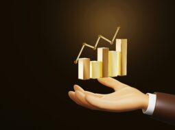 Wealth Management