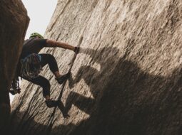 Richard Ceffalio Jr.